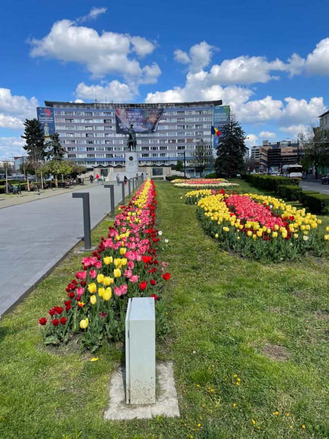 Pretty Luxury Apartament'S Cluj-Napoca Ngoại thất bức ảnh