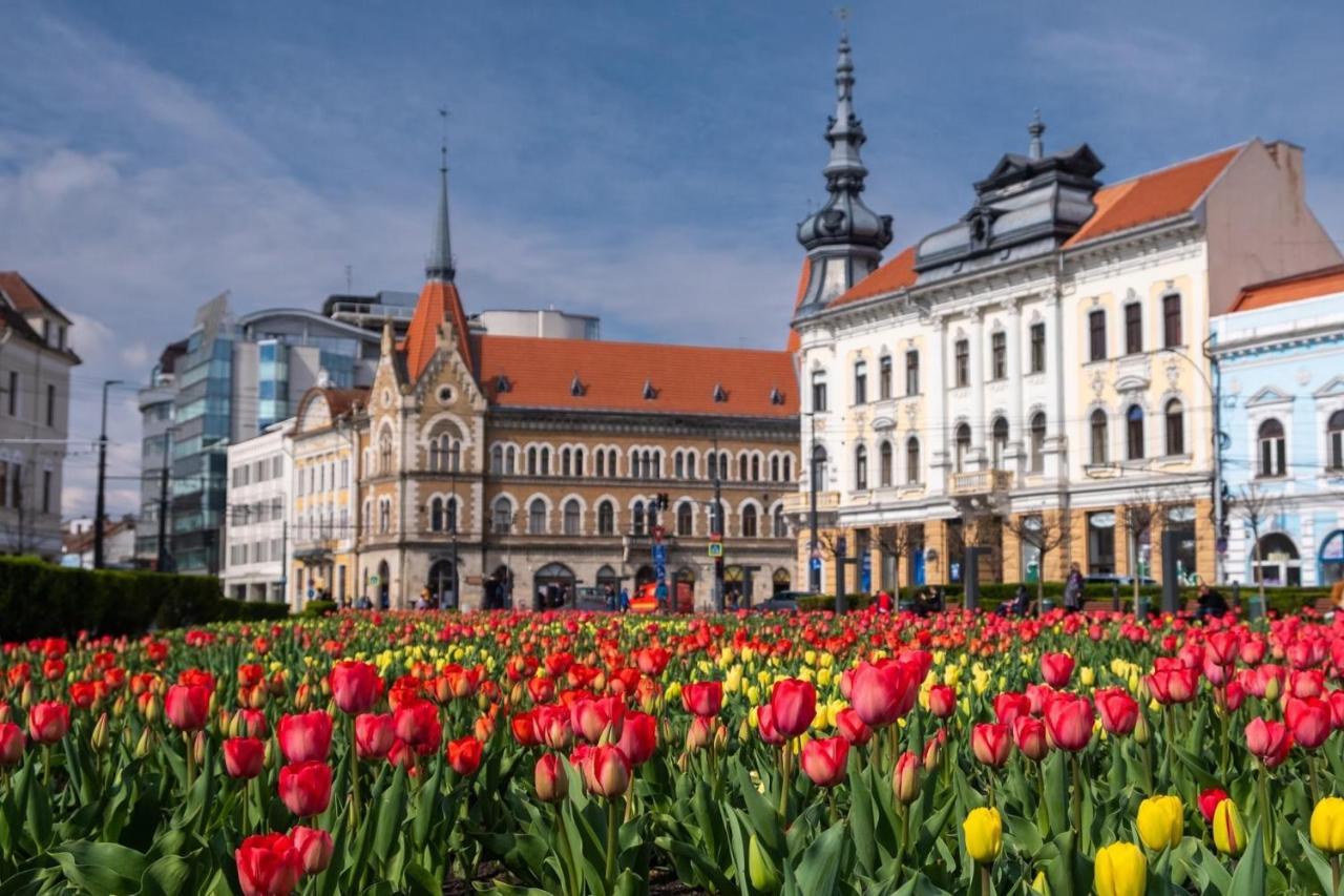Pretty Luxury Apartament'S Cluj-Napoca Ngoại thất bức ảnh